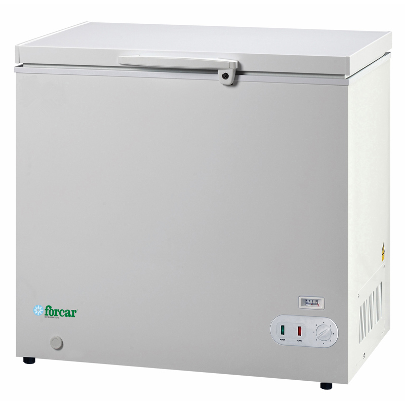 CONGELATORE A POZZETTO - G-BD205S